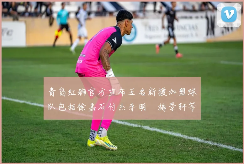 青岛红狮官方宣布五名新援加盟球队包括徐嘉石付杰李明璠梅景轩等球员