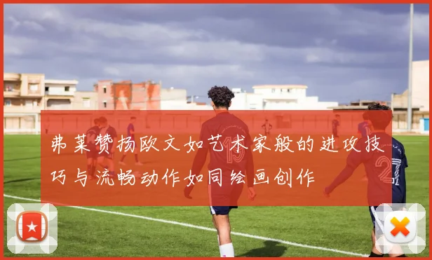 弗莱赞扬欧文如艺术家般的进攻技巧与流畅动作如同绘画创作
